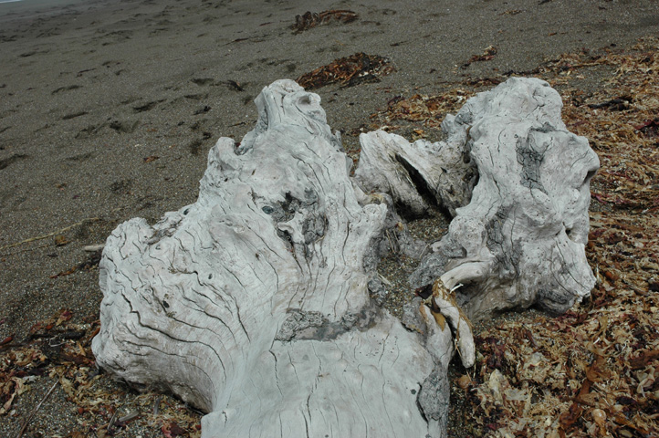 Moonstone Beach 033.jpg